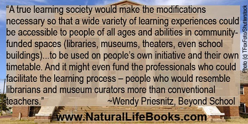 Learning societies by Wendy Priesnitz