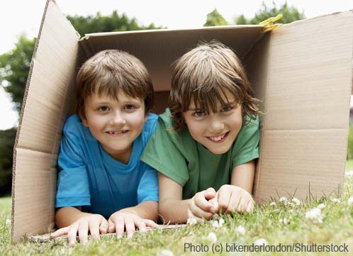 Free Play as Children Leads to Adult Social Success