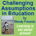 Challenging Assumptions in Education