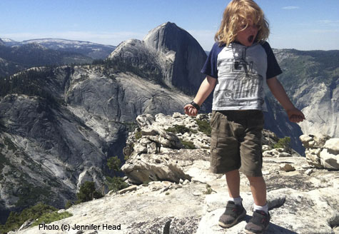 Natural Learning: Seeing the Forest Despite the Trees