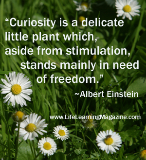 quote by Einstein about creativity