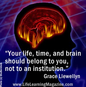 quote by Grace Llewellyn