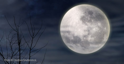 How to Lose a Sense of Wonder