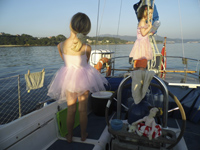 unschooling at sea-dolphin watching