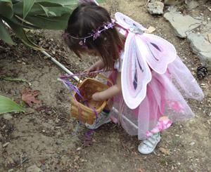 faery houses