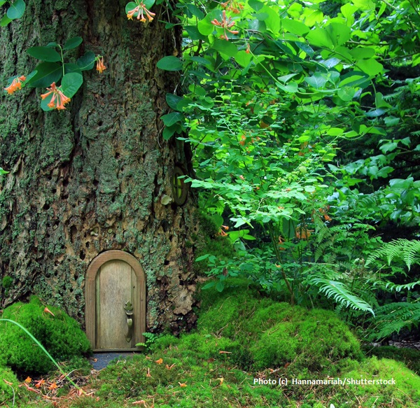 Not Your Typical Faery House