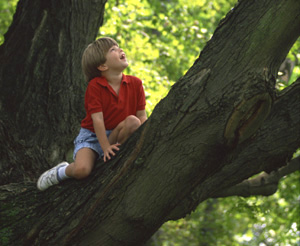 On the simple joys of tree climbing