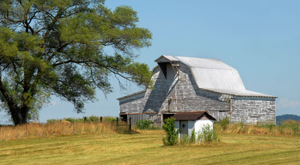 Personal Solutions, Family Solutions by John Taylor Gatto