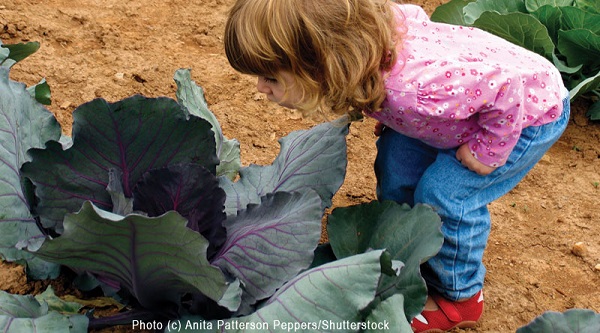 A Child's Garden is a Special Place to Grow