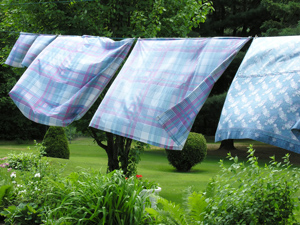 Letting It All Hang Out: Clotheslines Save Energy