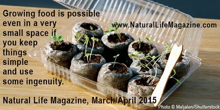 quote about frugal gardening