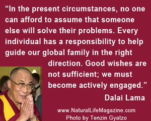 quote about activism by Dalai Lama