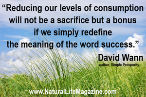 David Wann on simplicity and success