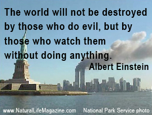 about doing evil by Einstein