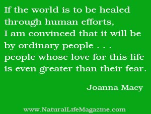 healing the world by Joanna Macy