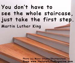 quote by Martin Luther King