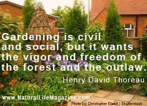 gardening by Thoreau