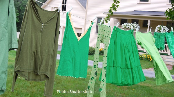 Save Energy and Money While Living Sustainably and Healthily