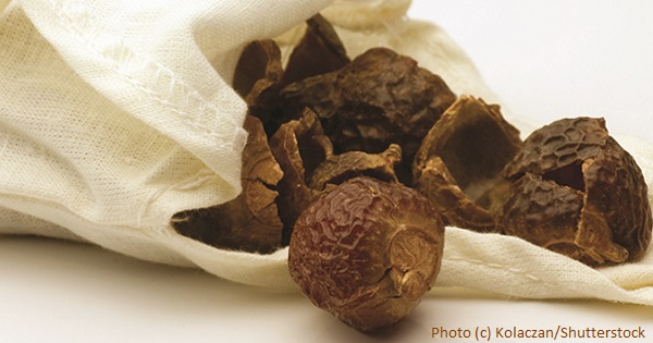 Soapnuts - An Inexpensive and Eco-Friendly Laundry Alternative