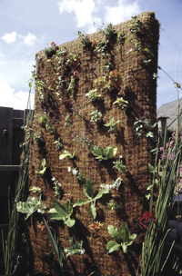 Vertical Garden Coconut Base Before